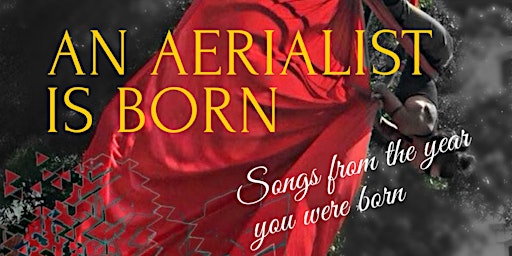 Spring24Adult Evening Performance | Air Born Aerial Fitness