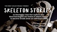 Skeleton Stories at The Insect Asylum | The Insect Asylum