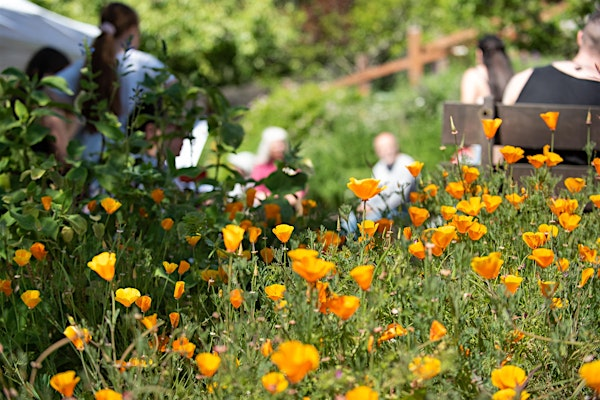 Growing a Garden: Where to Start Workshops 2025 | Garden for the Environment