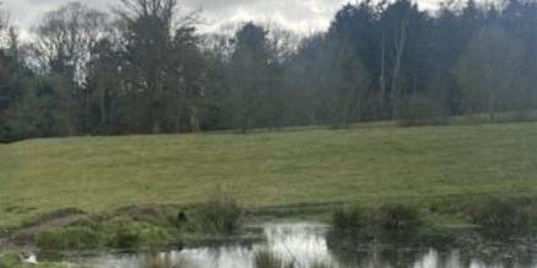Netwalking in the Wolds: South Elkington to Welton Le Wold Circular | The Shop