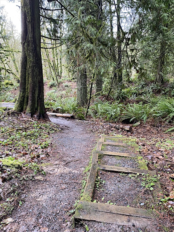 Milo McIver State Park , PDX | Milo McIver State Park