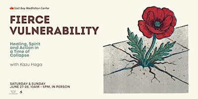 Fierce Vulnerability: Healing, Spirit and Action in a Time of Collapse | 285 17th St
