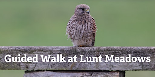 Guided Walk - Short Walk: Discover Lunt Meadows led by Senior Reserve Officer | Lunt Meadows