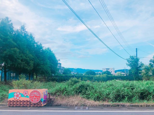 台中 后里背後的秘景📸