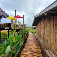 บ้านนอก ฮอกควาย สบายๆ เมืองคอง
