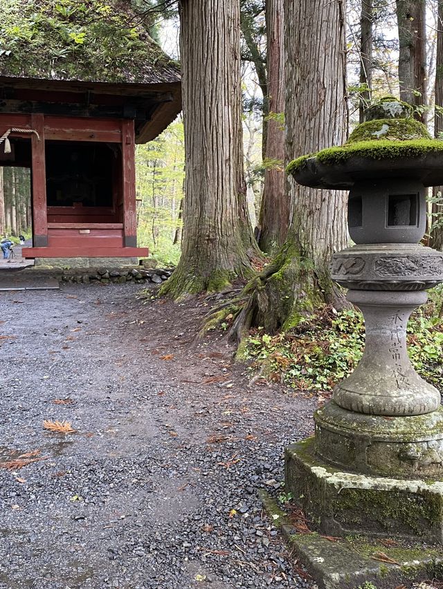 【長野・戸隠】戸隠神社