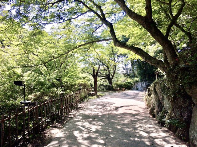 【佐賀】梅雨明けの御船山楽園