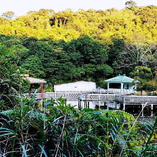 大嶼山龍仔悟園