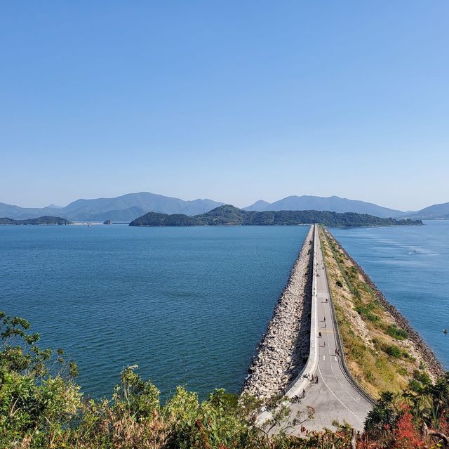 大美督家樂徑輕鬆短遊⛰