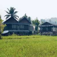 ที่พักวิวทุ่งนา
