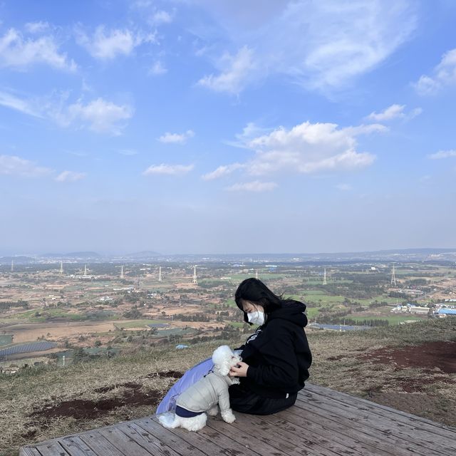 제주ㅣ반려동반 가능한 제주도 오름 추천, 금오름🏔