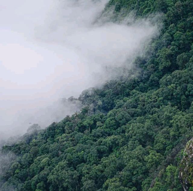 ⛰️ผาแง่ม ผาสองฤดู ขุนวาง จังหวัดเชียงใหม่⛰️