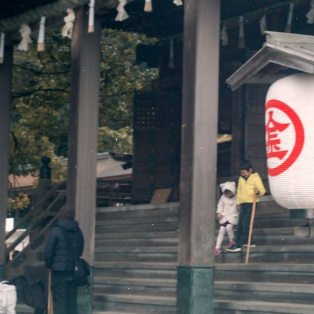 【香川】一生に一度の金毘羅山