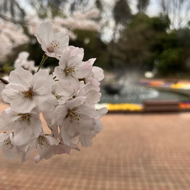 【東京】東京のど真ん中にある自然豊かな公園