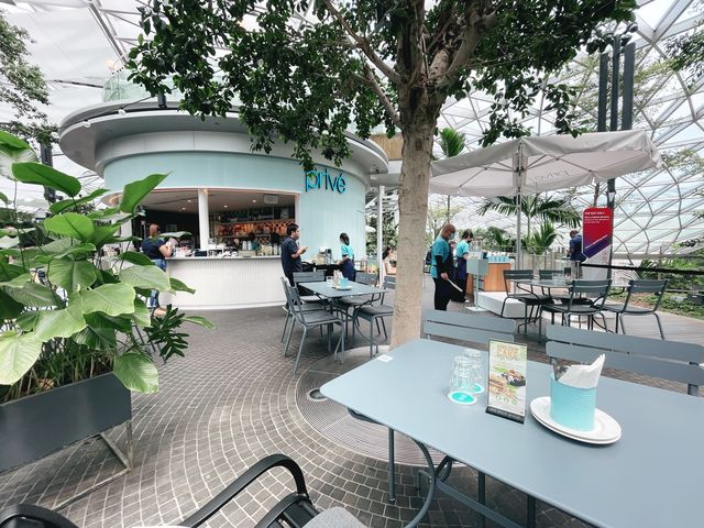 Dining with a view of nature