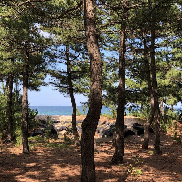 강릉 호캉스는 세인트존스
