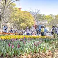 春の横浜公園の遊具エリア