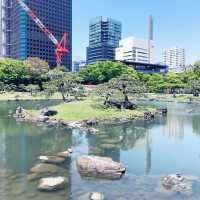 【日本庭園】旧芝離宮恩賜庭園