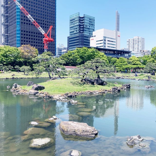 【日本庭園】旧芝離宮恩賜庭園