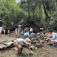 【横浜】ホタルの住む陣ヶ下渓谷公園