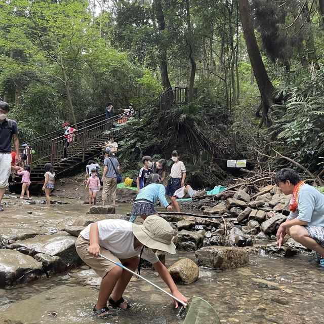 【横浜】ホタルの住む陣ヶ下渓谷公園