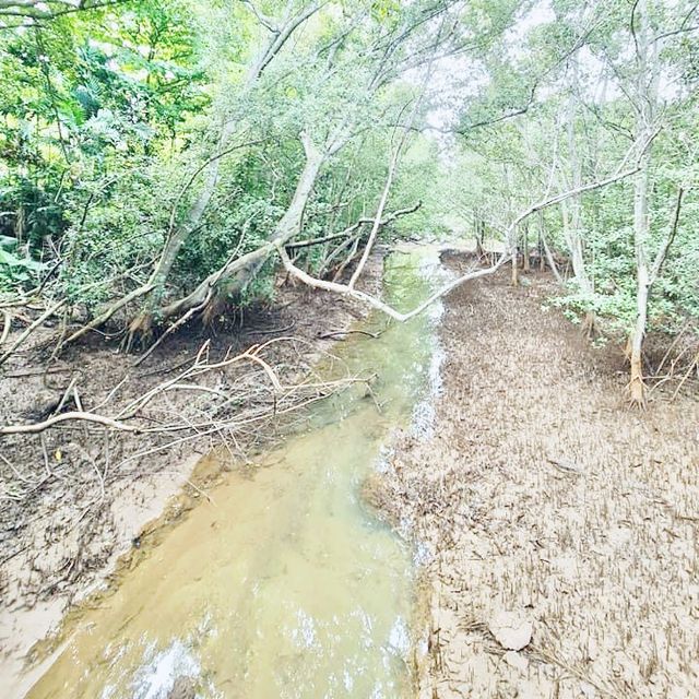Labrador Nature Reserve, Singapore
