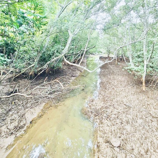 Labrador Nature Reserve, Singapore