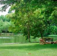 คาเฟ่ที่มีวิวสวนสวยๆ สีเขียวๆสลายตาสุดๆ