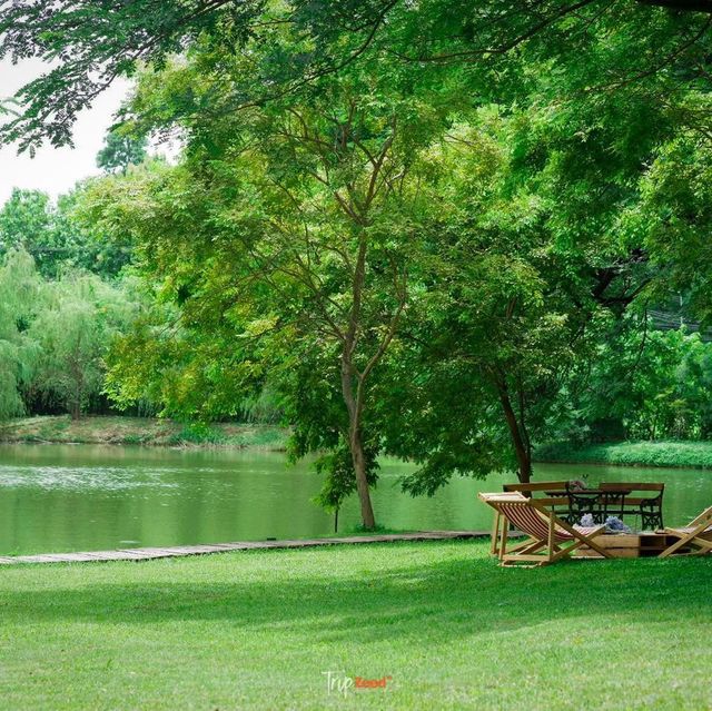 คาเฟ่ที่มีวิวสวนสวยๆ สีเขียวๆสลายตาสุดๆ