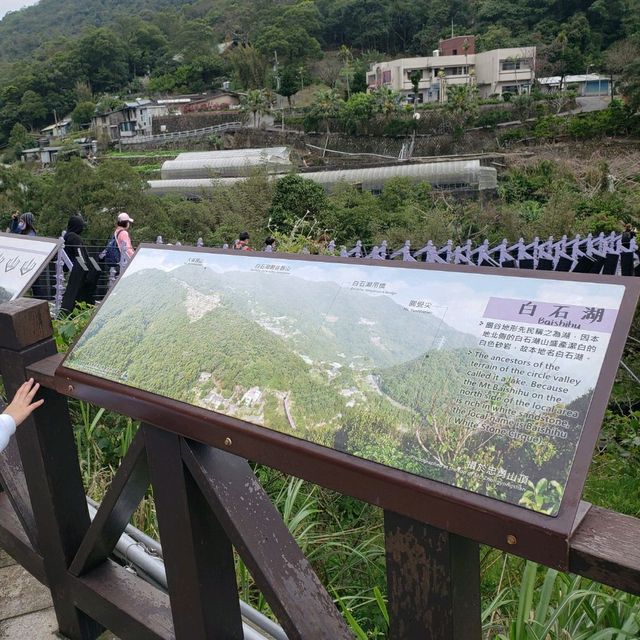 滿滿芬多精【台北內湖】鯉魚山一日遊