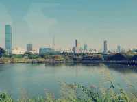 Exploration in Mai Po Nature Reserve