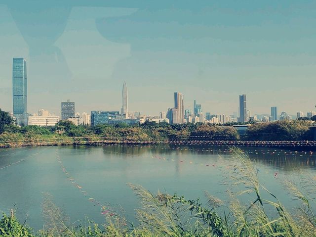 Exploration in Mai Po Nature Reserve