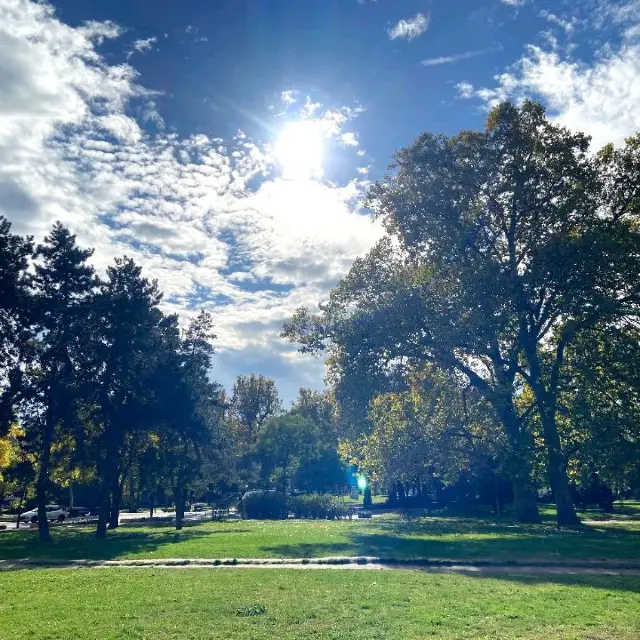 Autumn park walks