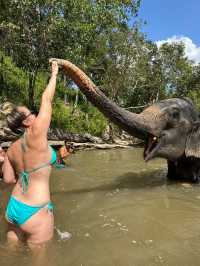 An unforgettable experience 