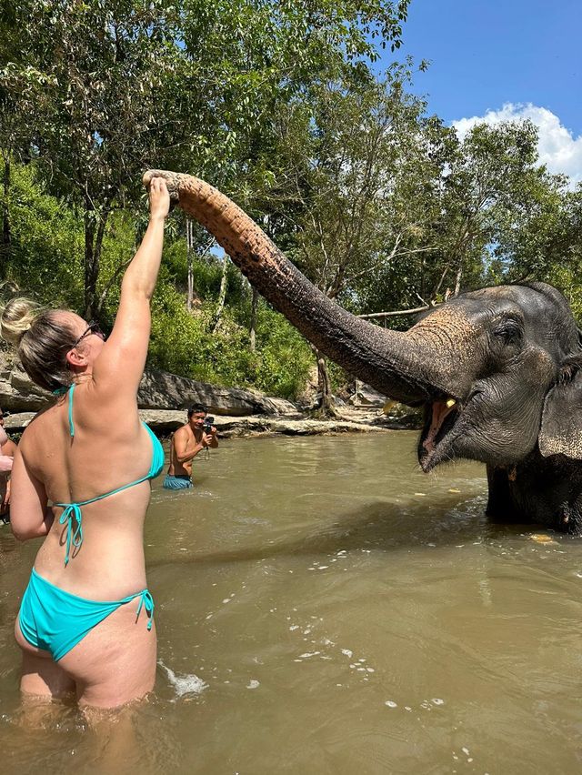 An unforgettable experience 