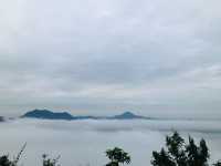 ภูทอก เชียงคาน จุดชมทะเลหมอกยอดฮิต