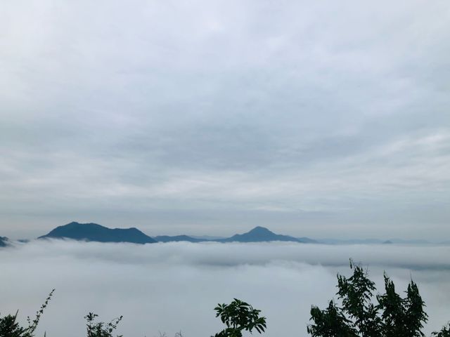 ภูทอก เชียงคาน จุดชมทะเลหมอกยอดฮิต