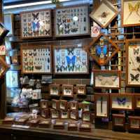 sight seeing for the crafts and arts