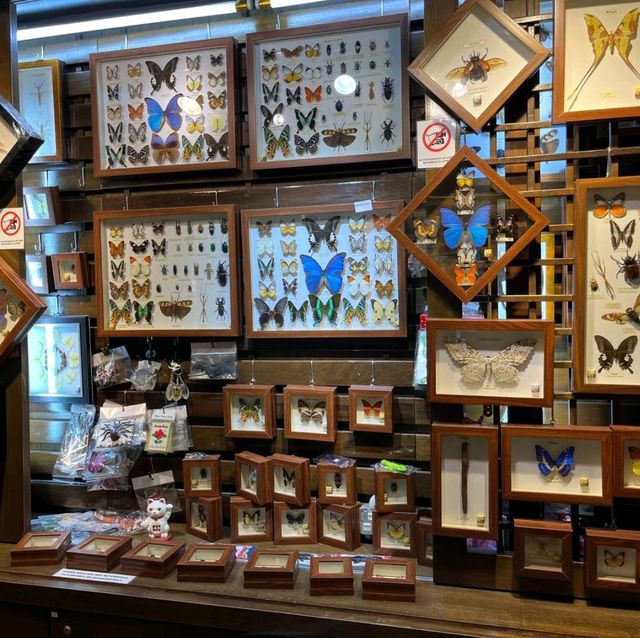 sight seeing for the crafts and arts