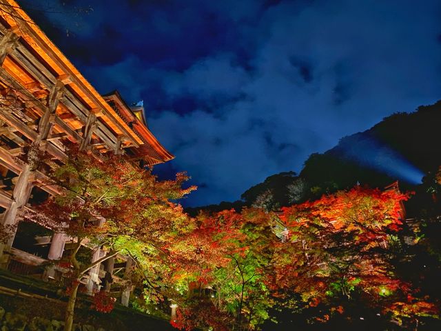 秋の京都。清水寺のライトアップ。『清水の舞台』