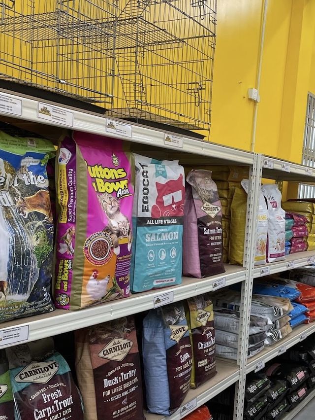 Catsoverdoze Bandar Uda Utama