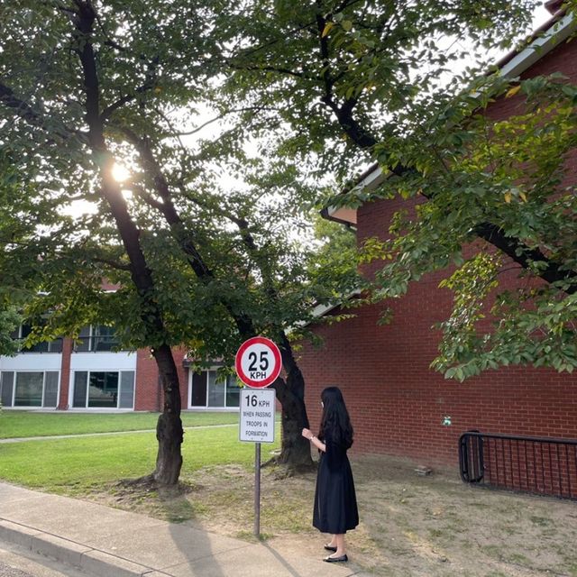 인스타핫플🪖용산공원미군기지 