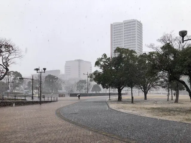 드 넓은 녹지, 눈 내리는 기타큐슈 가쓰야마 공원! 