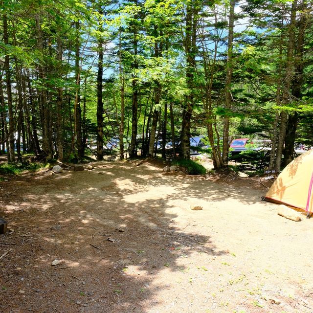 大弛小屋のテント場