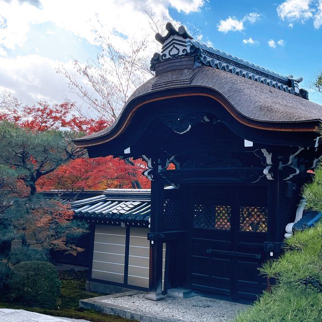 【紅葉巡り】京都ー永観堂