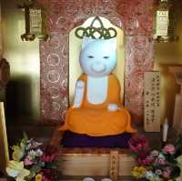 猫猫寺(開運ミュージアム?!)