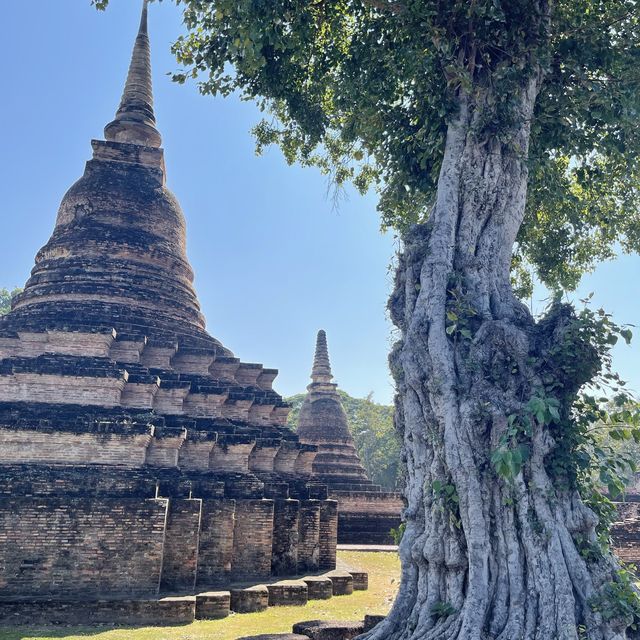 เที่ยววัดและอุทยานประวัติศาสตร์สุโขทัย