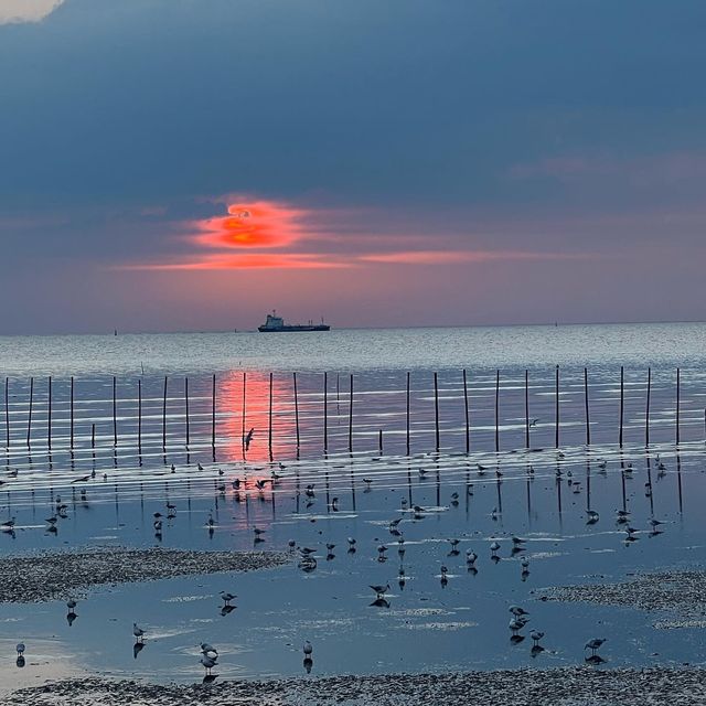 บางปู ธรรมชาติเยียวยาใจฉัน 🕊🕊