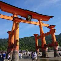【広島】宮島のベストスポット⛩厳島神社