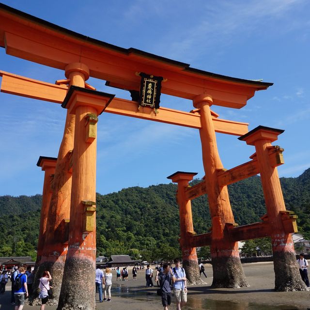 【広島】宮島のベストスポット⛩厳島神社
